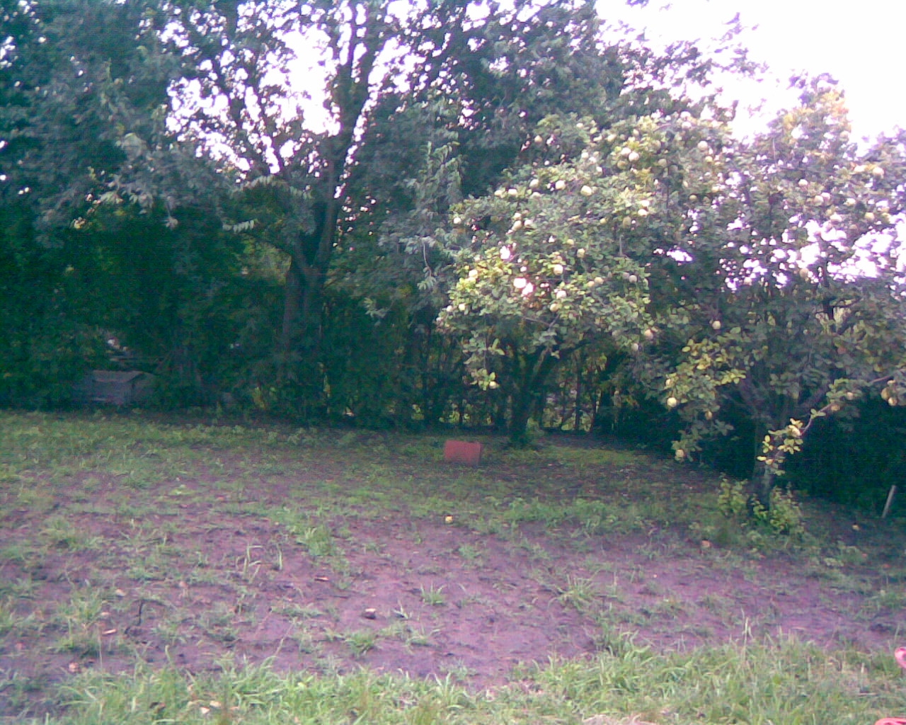 fotos/2007-01-22 - Obra casa primera parte/Imagen029.jpg